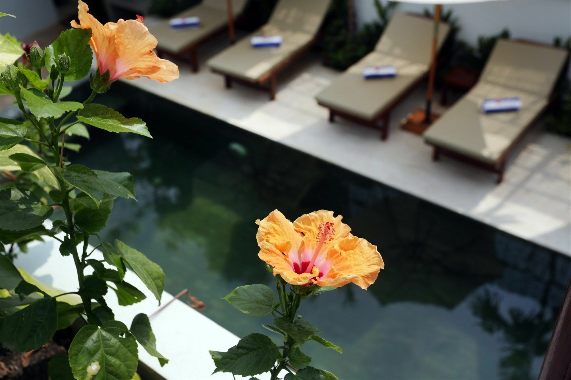 Sam So Boutique Villa Sziemreap Kültér fotó